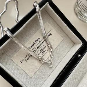 S925 sterling silver flat snake chain necklace placed inside black jewelry gift box, S hook clasp closeup